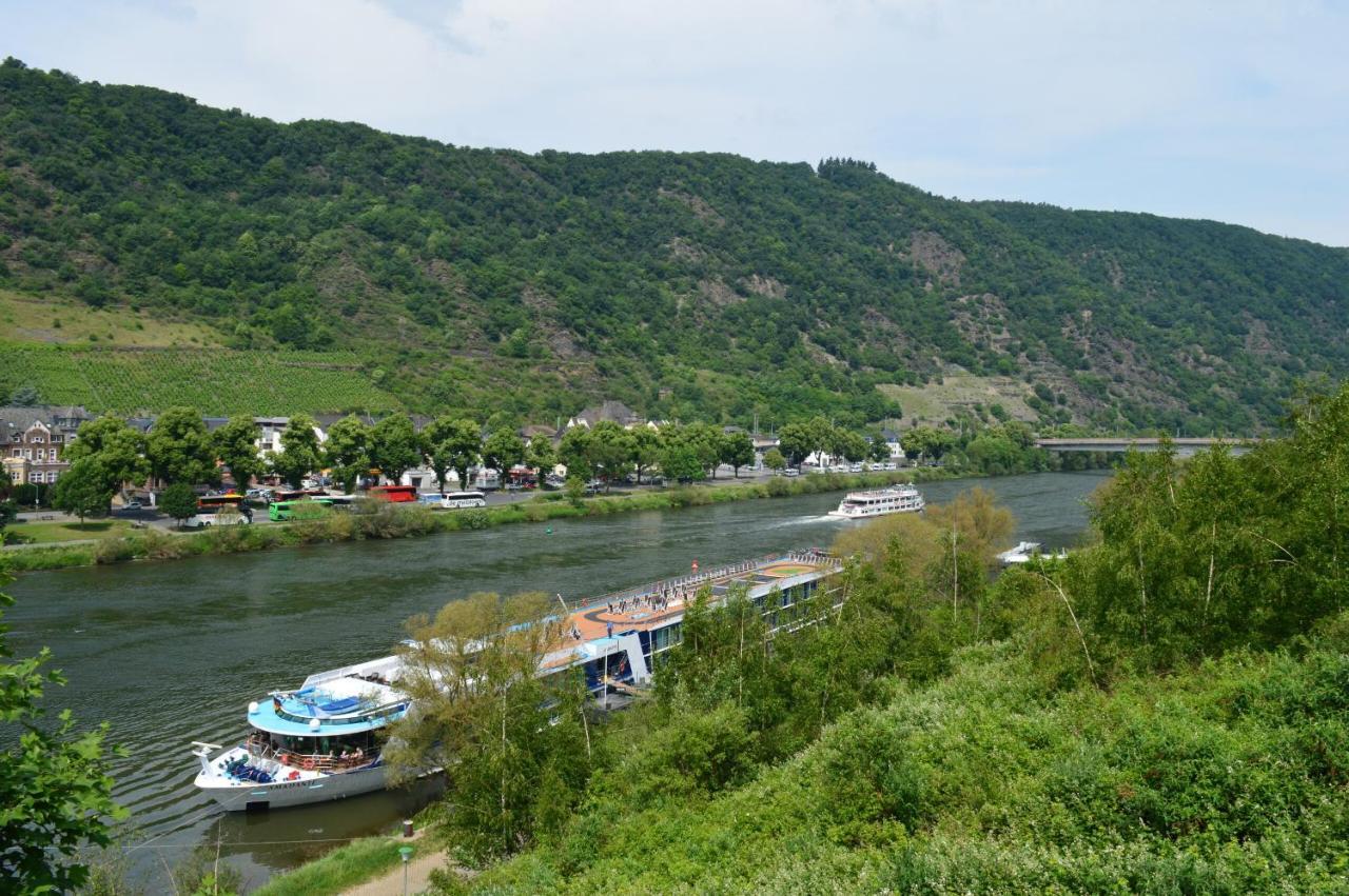 Alte Weinbauschule Villa Cochem Luaran gambar